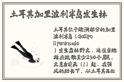 女角色去小内皮肤